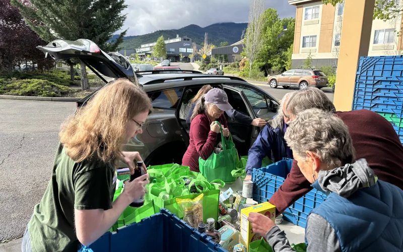 Volunteers sort green bags filled with donated nonperishable food into blue bins during a Collection Day.