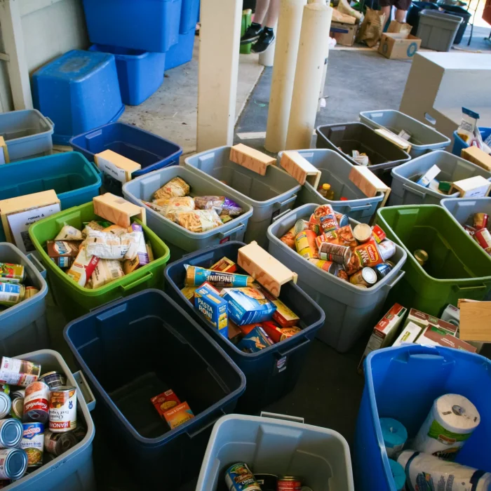 Donated nonperishable food is sorted into bins by category during a Collection Day